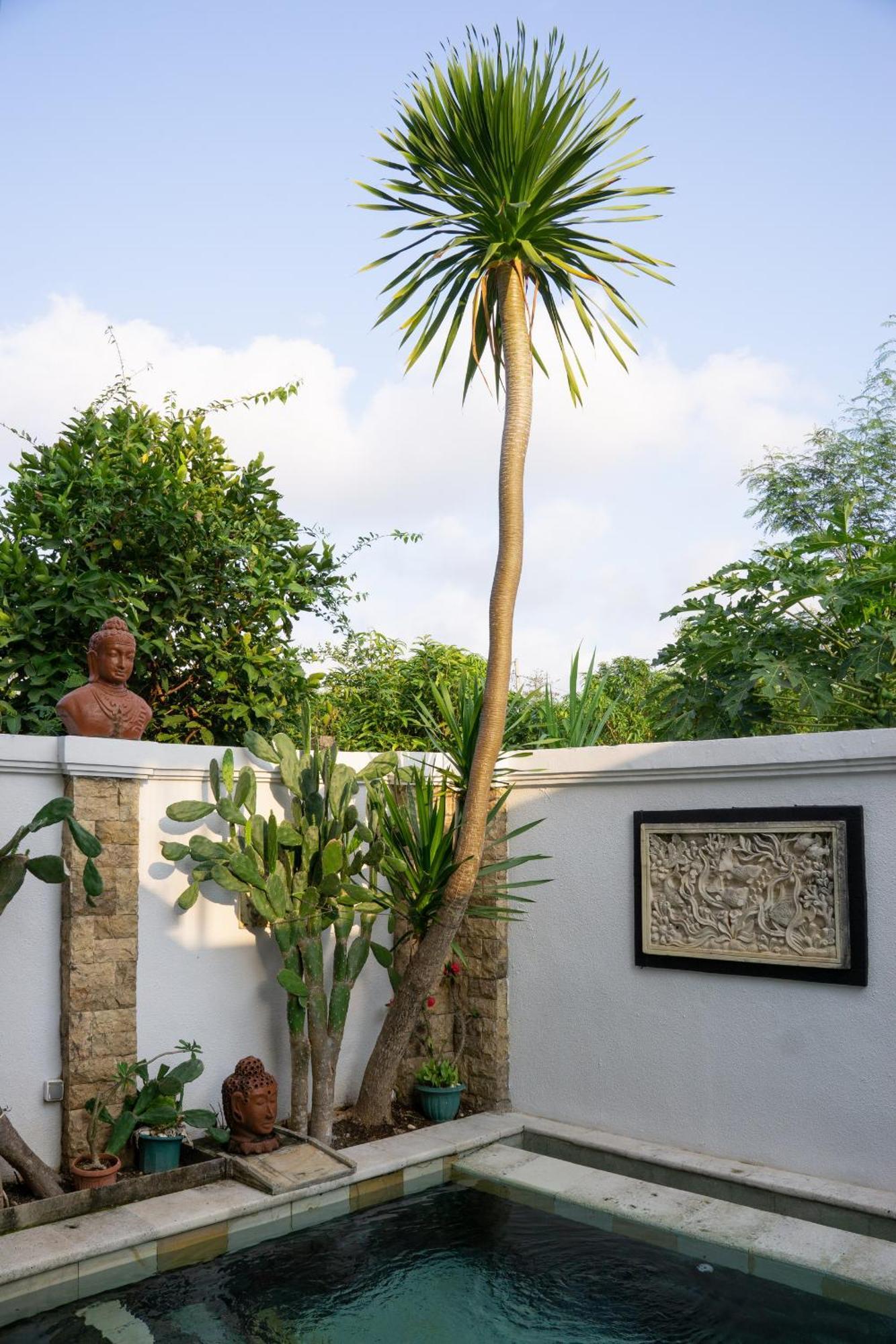 Hills House Villa By Globalstay - Jimbaran X Balangan X Gwk Dış mekan fotoğraf